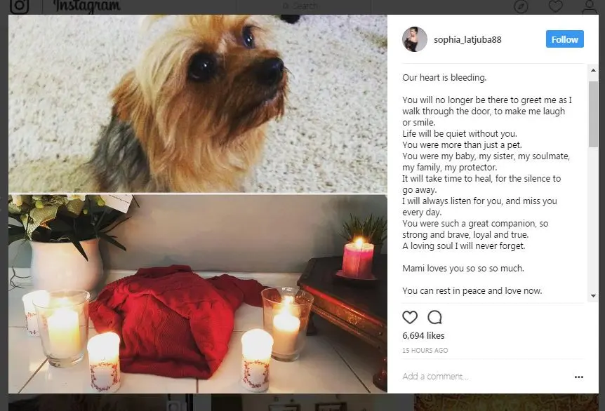 Sophia Latjuba ungkap kesedihan atas kematian anjing peliharaannya, Mochie. [foto: instagram/sophia_latjuba88]