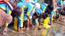 Pelajar melakukan penanaman mangrove saat kegiatan Pertamina Lestarikan Lingkungan di Hutan Mangrove Karangsong, Indramayu, Jumat (15/1). Kawasan tersebut merupakan Mangrove Center di Jabar yang memiliki lebih dari 15.000 bakau (Liputan6.com/Helmi Afandi)