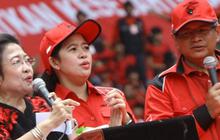 9 Politisi coba pindah partai, daftar caleg 2014 melalui PDIP