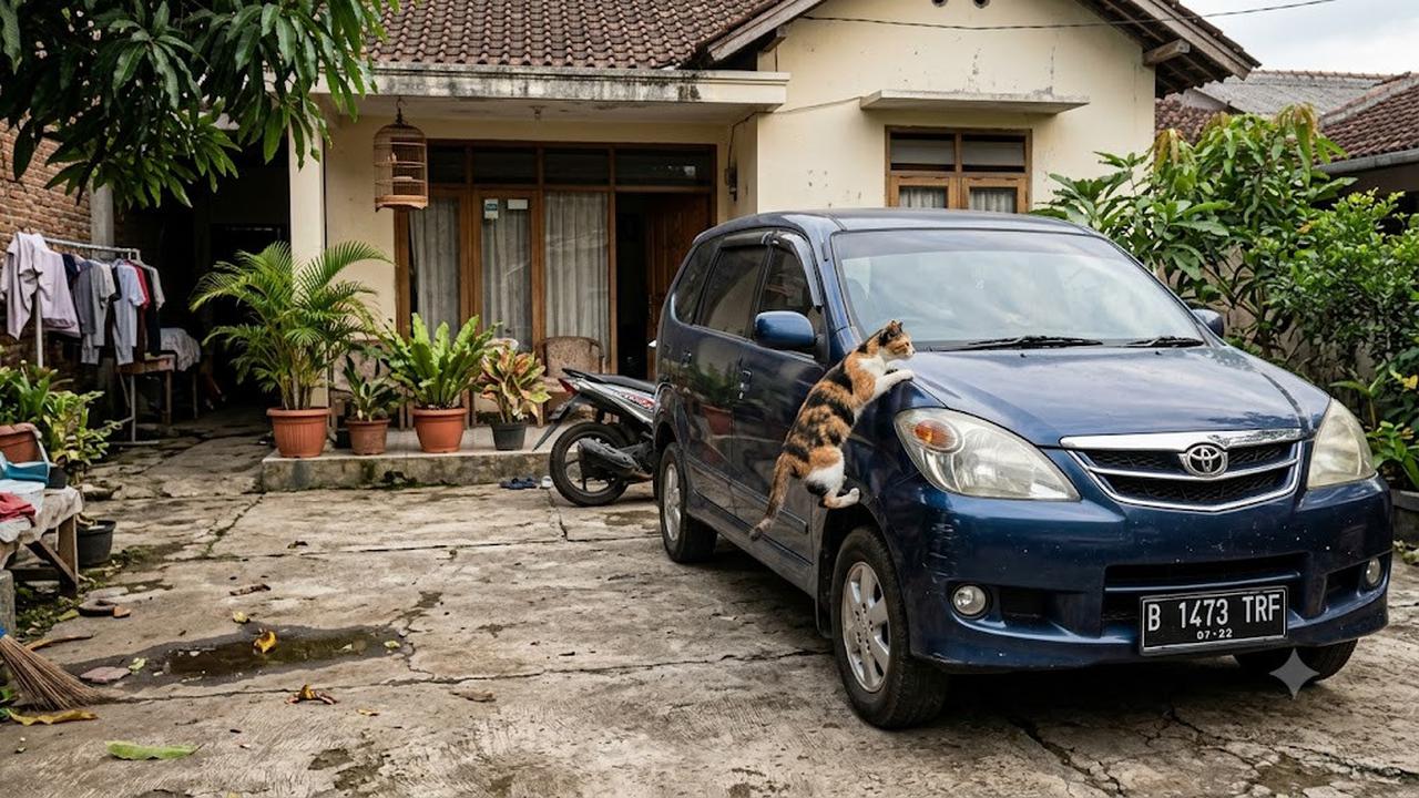 6 Cara agar Kucing Tidak Naik ke Kap Mobil, Efektif tapi Aman Tanpa Menyakiti Hewan