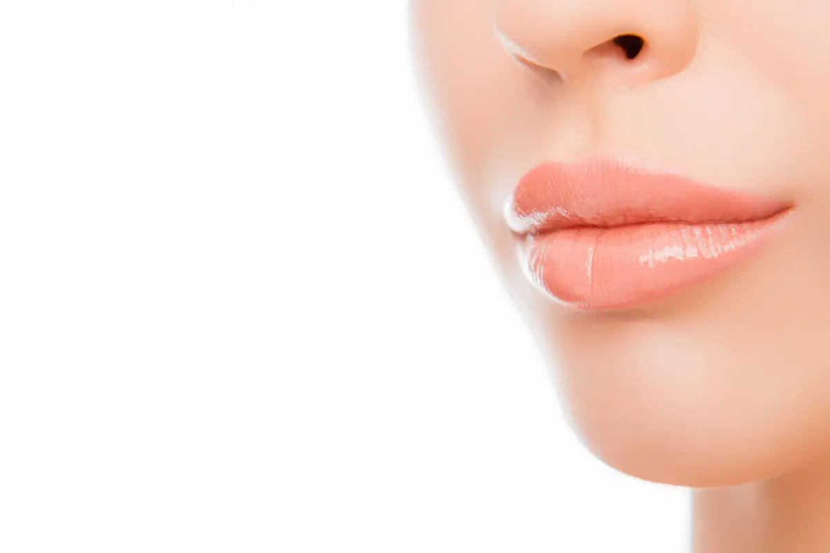 Bibir