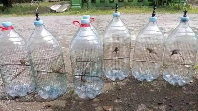 7 Potret Nyeleneh Alih Fungsi Galon Air Ini Kreatif Banget, Jadi Kandang Burung