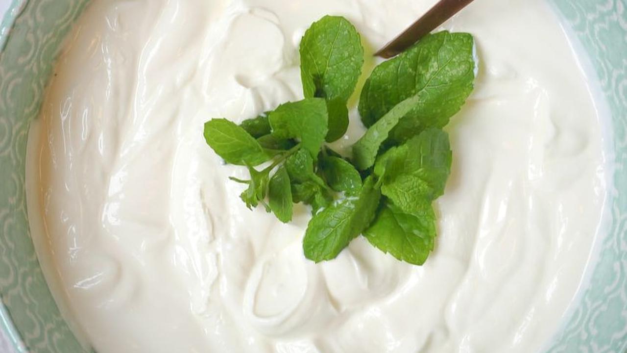 <b>Yogurt</b>