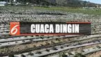 Sejak dua bulan terakhir dinginnya suhu udara hingga menimbulkan embun es.