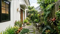 Cara Memanfaatkan Lorong Sempit di Samping Rumah untuk Menanam Sayuran dan Tanaman Hias