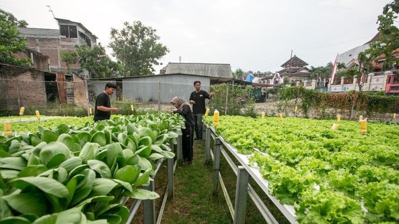 Terobosan Sulawesi Tengah: Permudah Izin Usaha Petani Milenial, Dorong Ekspor Produk Lokal!