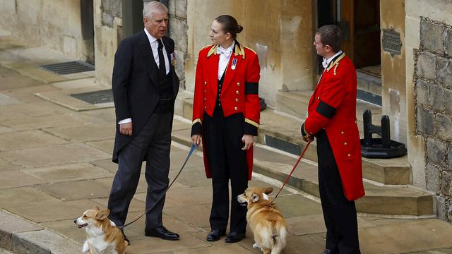 Pangeran Andrew bersama anjing corgi milik Ratu Elizabeth II. (Foto: Peter Nicholls/Pool Photo via AP)
