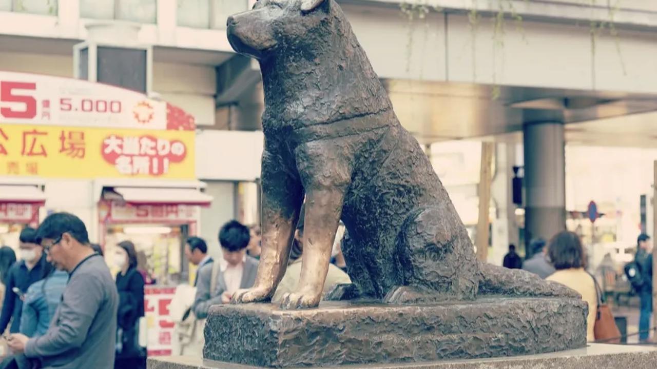 4. Tempat Janjian Populer di Shibuya