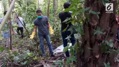 Seorang kakak tega menghamili adiknya sendiri dan membuang bayi hubungan terlarang mereka ke hutan sawit.