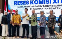 Komisi XI DPR RI Minta Kalsel Percepat Hilirisasi Industri, Kekuatan Baru Pendapatan Daerah