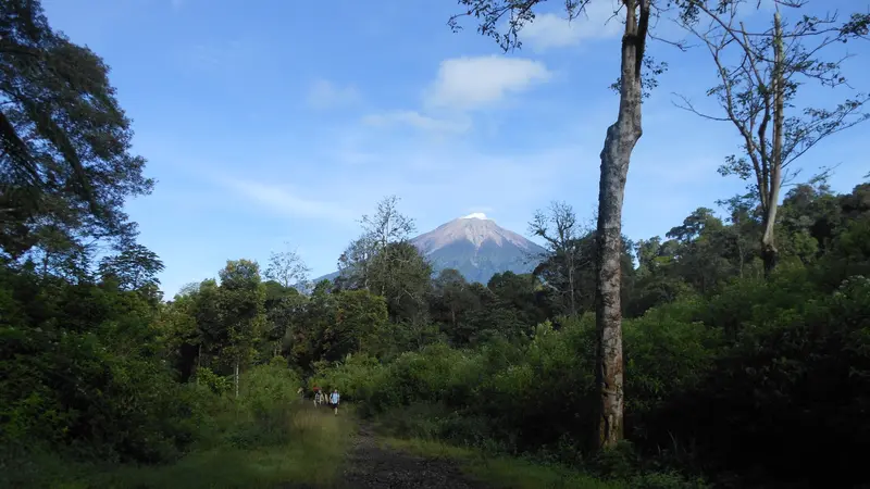 Gunung Kerinci dilihat dari perjalanan ke Gunung Tujuh di Sumatera