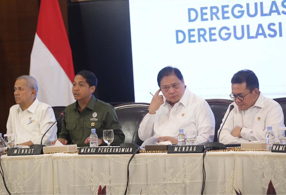 FOTO: Pemerintah Longgarkan Impor 10 Komoditas, Dari Produk Kehutanan hingga Alas Kaki