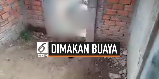 VIDEO: Balita Tewas Dimakan Buaya Peliharaan Orangtua