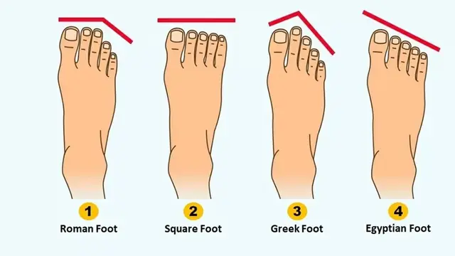 ilustrasi jari kaki