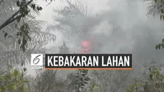 Kebakaran lahan gambut terus terjadi di Sumatera Selatan. Hingga kini tercatat sudah 60 hektar lahan yang terbakar dan menimbulkan kabut asap.
