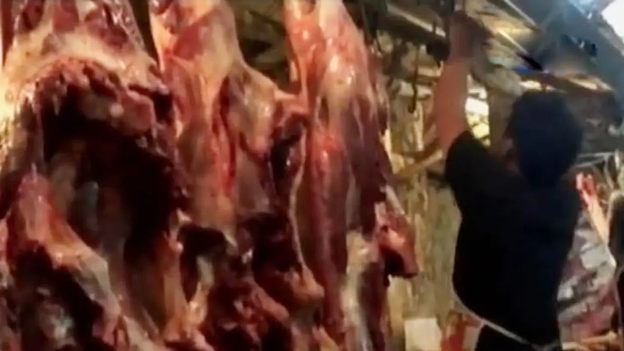 Segmen 2: Harga Daging Naik hingga Festival Memedi Sawah