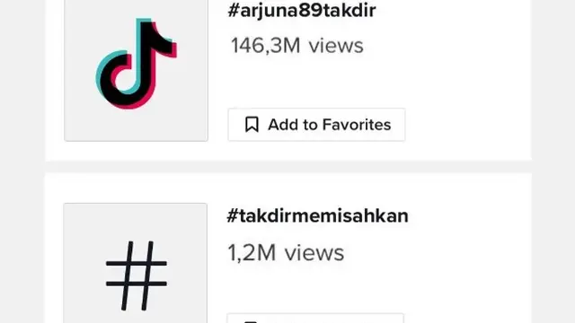 Dukungan masyarakat terhadap karya musik Arjuna 89 terlihat melalui jumlah 146 juta viewers di aplikasi TikTok.