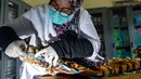Seorang petugas konservasi satwa liar mengukur kulit harimau Sumatra hasil sitaan dari pemburu di Banda Aceh, Aceh, Rabu (12/12). Kulit harimau Sumatra yang berjenis kelamin jantan tersebut diperkirakan berusia 30 tahun. (CHAIDEER MAHYUDDIN/AFP)