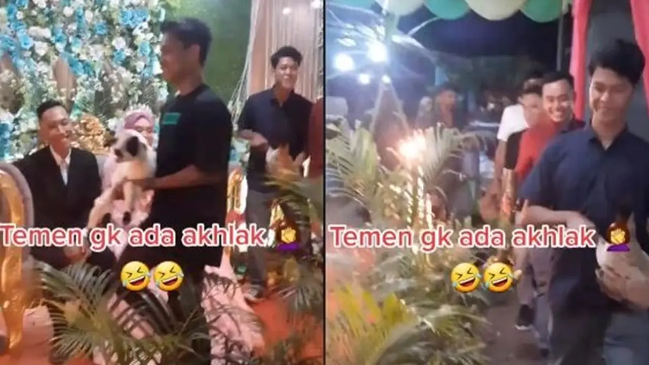 Bawa Hadiah Hewan Ternak, Aksi Tamu Undangan Bikin Pengantin Senyum