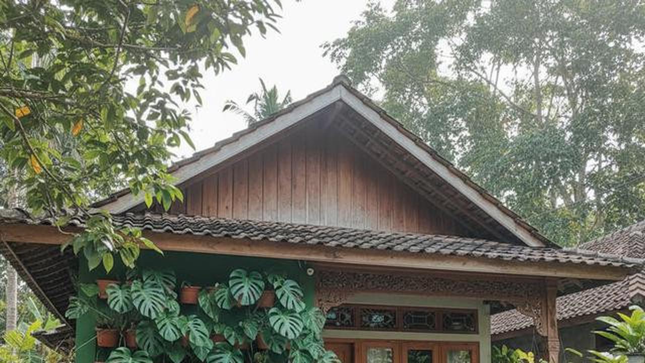 8 Model Rumah Kecil Tapi Luas dengan Tanaman Daun Lebar di Teras Depan, Asri