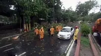 6 Orang Tewas Tersambar Petir - Kompetisi Manusia Terkuat 