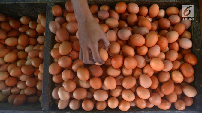 Penjual merapikan telur dagangannya di Pasar Minggu, Jakarta, Rabu (24/7). Harga telur ayam mengalami penurunan di angka Rp 26 ribu per kilo. (Merdeka.com/Imam Buhori)