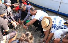 Menjaga Kebersihan Pantai Nusa Penida dengan Motor Roda Tiga