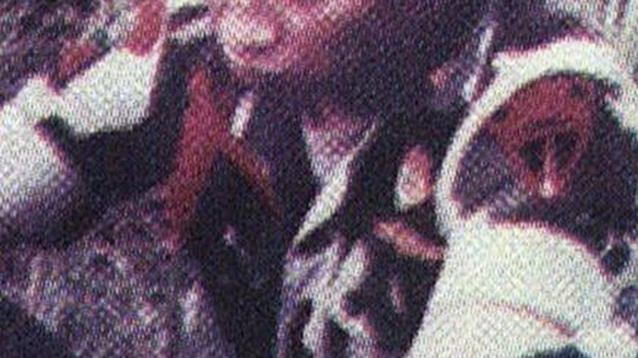 “Dari sana keinginan itu muncul,” kata Agum.<br>