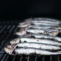 Ilustrasi Ikan Patin Credit: pexels.com/Elle