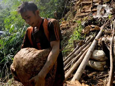 Emas bagi warga Desa Citorek, Kecamatan Cibeber Banten yang kini daerahnya terkenal dengan "Negeri di Atas Awannya" telah menjadi napas kehidupan sejak puluhan tahun lalu. (merdeka.com/Arie Basuki)