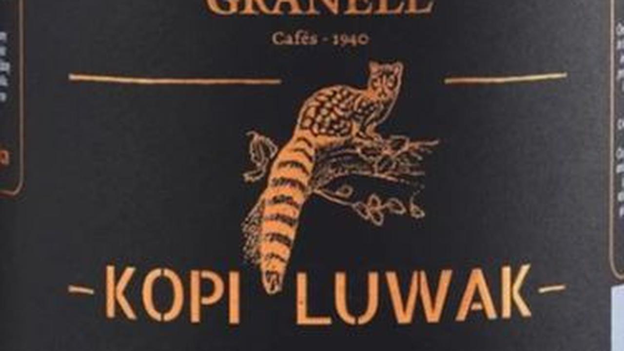<b>Kopi Luwak</b>