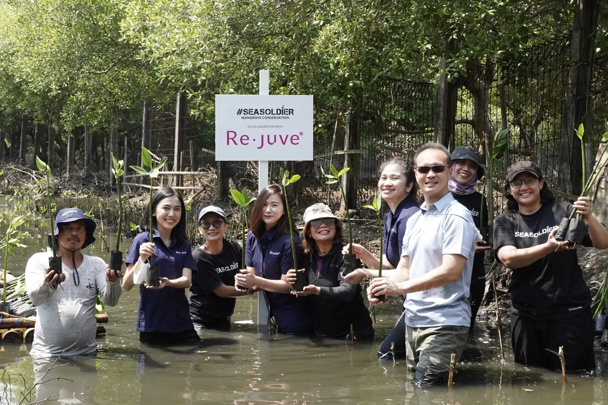 Mangrove