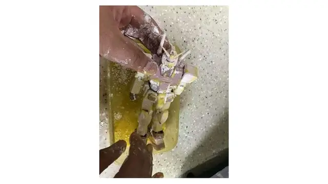 Makanan Unik Berbentuk Robot Ini Ternyata dari Robot Sungguhan