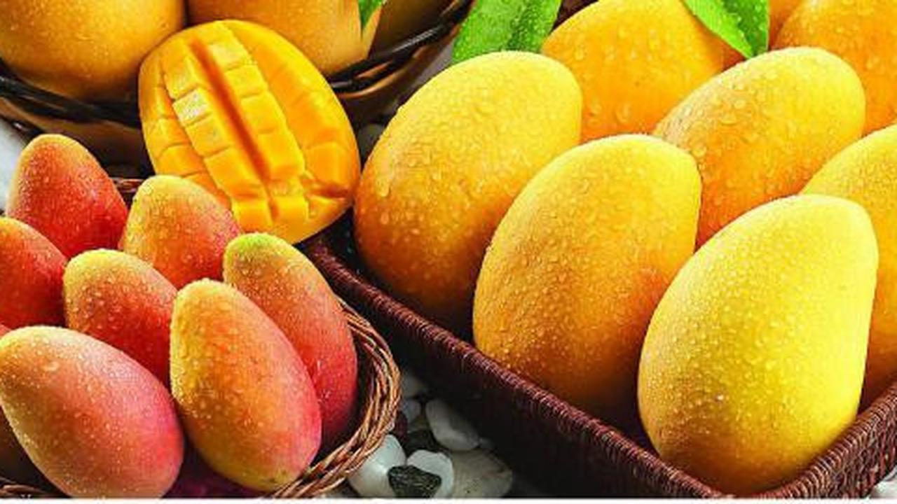 8 Alasan mengapa Anda sebaiknya makan mangga