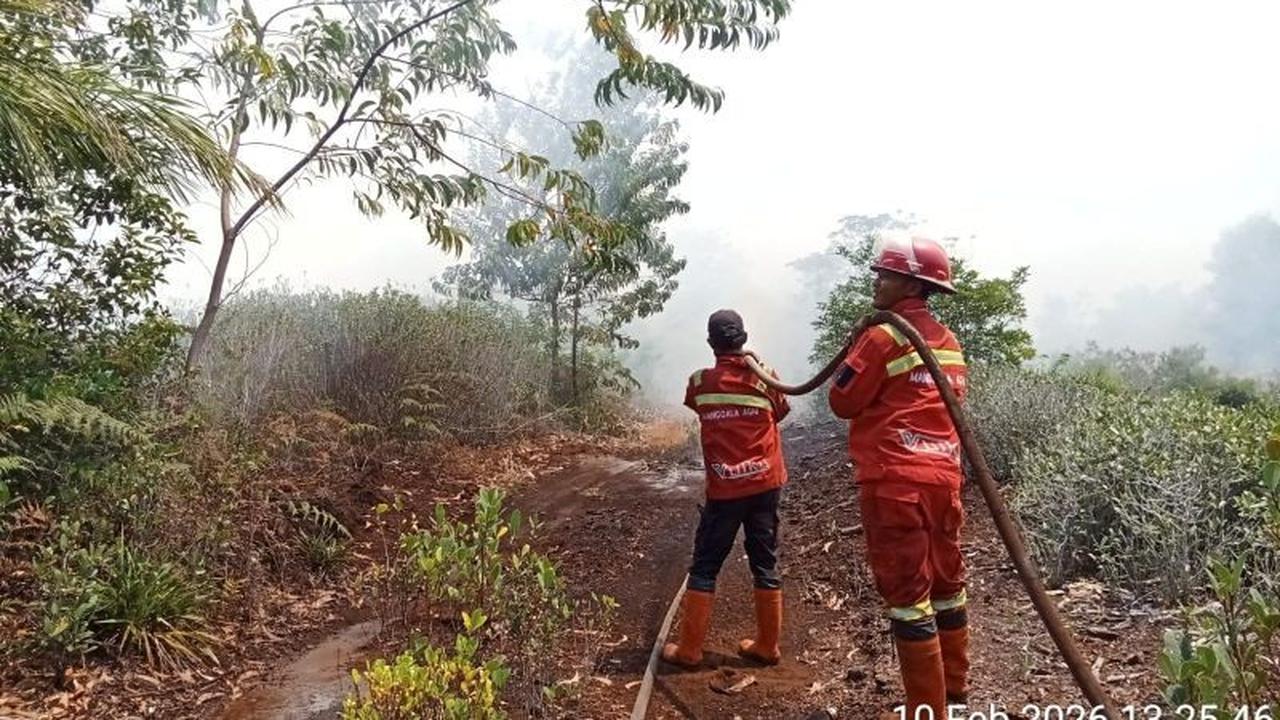Pemkab Pelalawan Tetapkan Status Siaga Darurat Karhutla, Riau Bersiap Menyusul