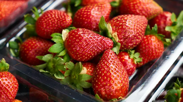 Meningkatkan Kesehatan Usus dan Pencernaan