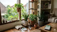 8 Starter Pack Plant Parent Gen Z, Panduan Praktis bagi yang Ingin Memulai