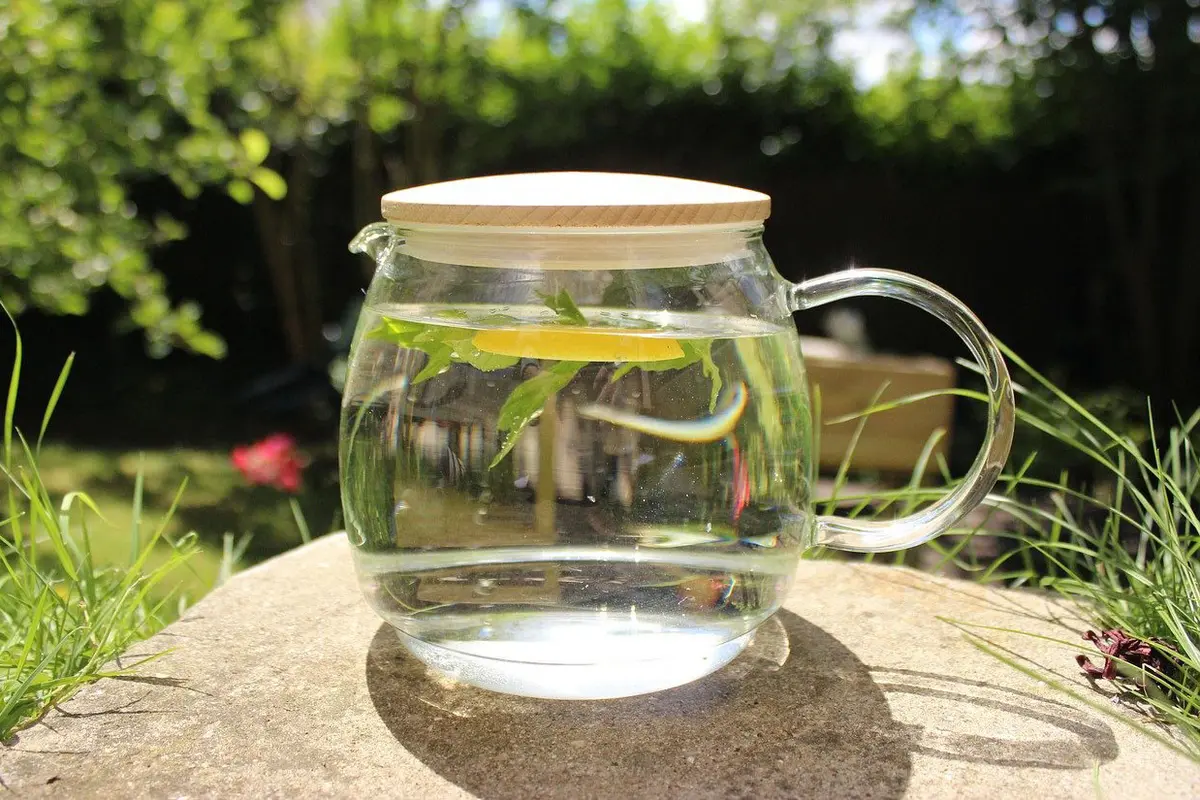 Infuse Water Jeruk Lemon, Resep Mudah untuk Minuman Detoks yang Wajib ...