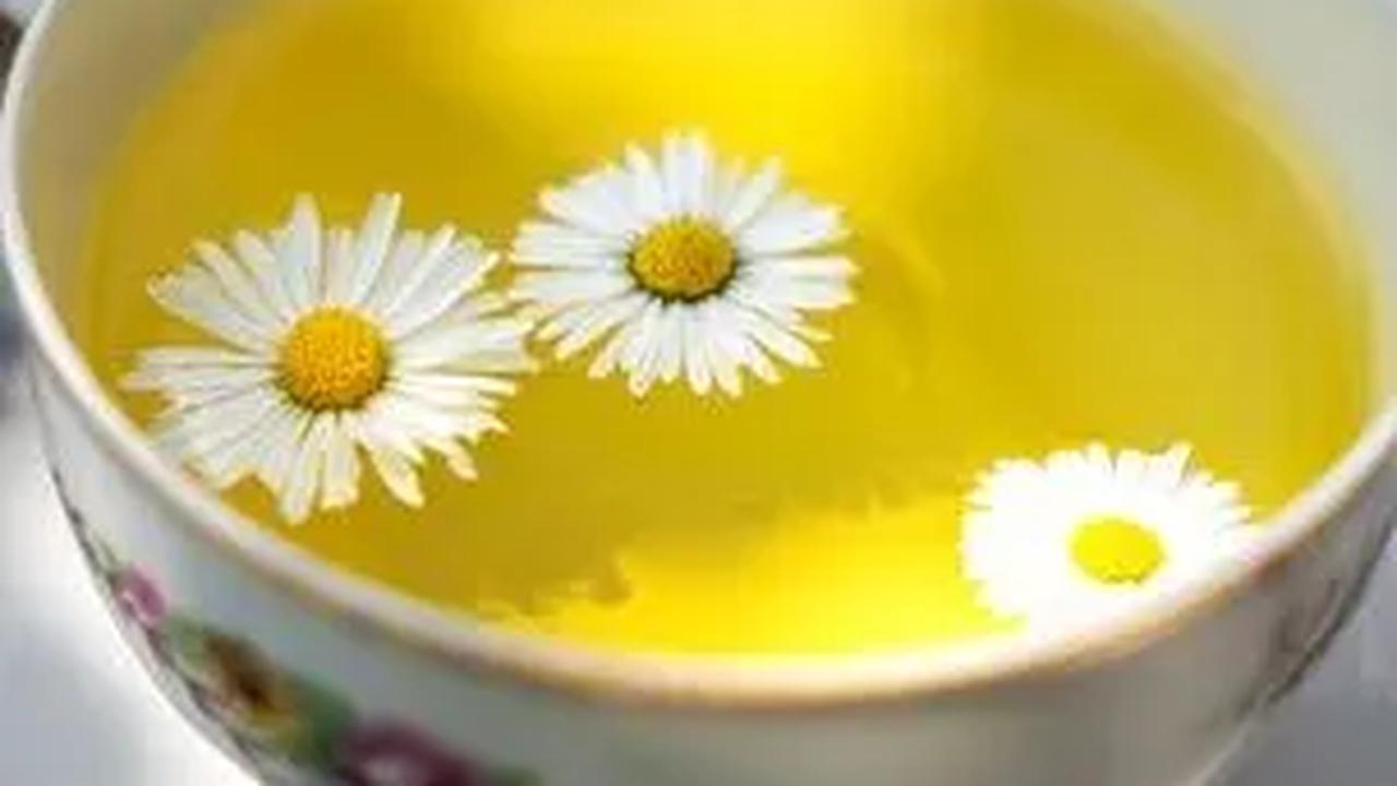 2. Teh Chamomile: Rileks Sebelum Tidur