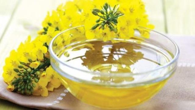 Manfaat Dahsyat Minyak Canola, Turunkan Berat Badan dan Lemak