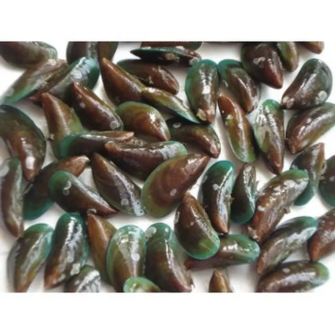 Cara Memilih Kerang Hijau yang Aman