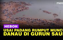 VIDEO: Viral, Kemunculan Danau di Tengah Gurun Saudi Usai Heboh Padang Rumput