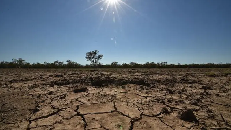 Foto ilustrasi kekeringan di Australia. Foto diambil pada 11 Februari 2015 di Walgett, 650 kilometres Sydney, sebuah kota pertanian terbesar di kawasan itu tengah menderita kekeringan parah akibat musim panas yang terik.