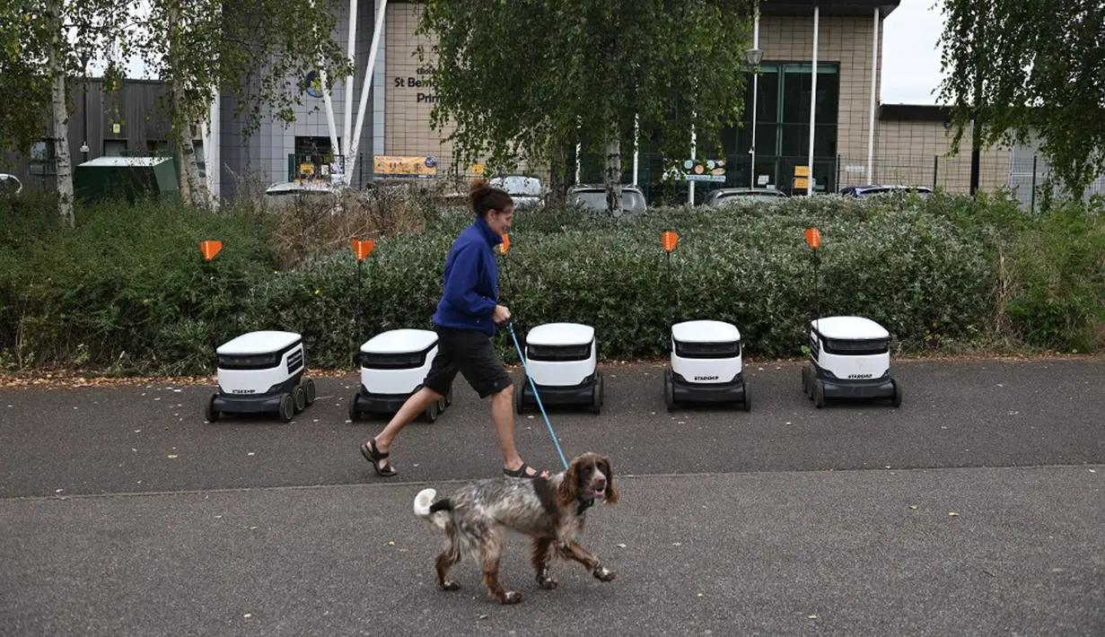 Seorang pejalan kaki berjalan dengan anjingnya dekat barisan robot otonom bernama Starship yang bertugas mengantarkan bahan makanan dari supermarket Co-op di Milton Keynes, Inggris, 20 September 2021. Robot Starship bertugas mengantarkan belanja dan makanan. (DANIEL LEAL-OLIVAS/AFP)