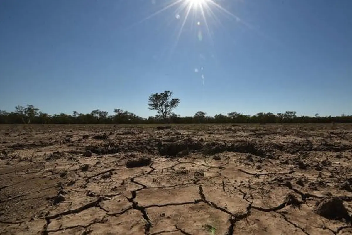 Foto ilustrasi kekeringan di Australia. Foto diambil pada 11 Februari 2015 di Walgett, 650 kilometres Sydney, sebuah kota pertanian terbesar di kawasan itu tengah menderita kekeringan parah akibat musim panas yang terik.