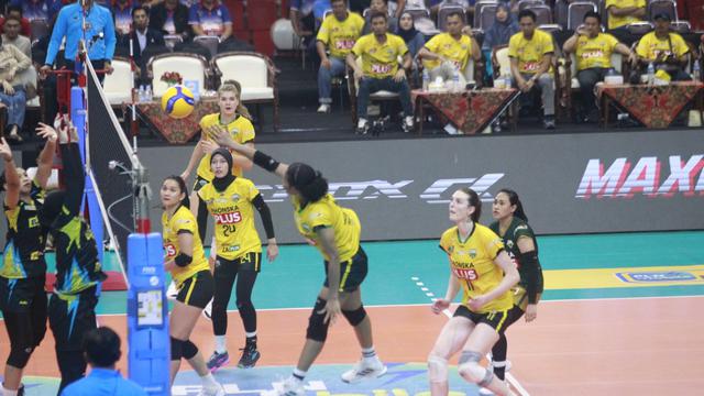 Gresik Petrokimia Pupuk Indonesia - PLN Mobile Proliga 2025 - Bola Voli