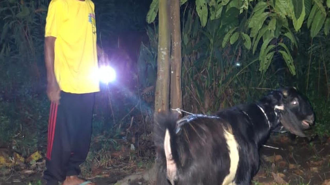 Dok. Istimewa