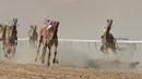 Seekor unta terjatuh (kanan bawah) saat mengikuti lomba balap Liwa 2018 Moreeb Dune Festival di gurun Liwa, Abu Dhabi (26/12). (AFP Photo/Karim Sahib)