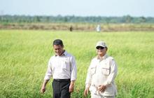Indonesia Resmi Swasembada Beras, Prabowo Beri Tanda Kehormatan ke Mentan Amran hingga Petani