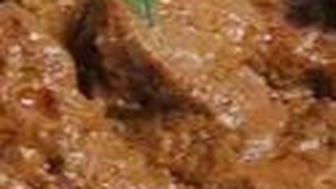 Resep Rendang Daging Kuah Kental